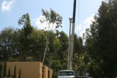 Crainco Inc. Crane Rental