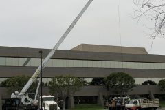 50-ton Crane Rental - Bare or with Operator