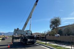 Reliable Crane Services - Crainco Inc.